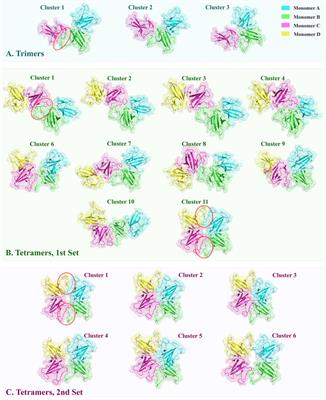 Oligomer formation of SARS-CoV-2 ORF8 through 73YIDI76 motifs regulates immune response and non-infusion antiviral interactions